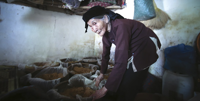 Địa chỉ bán rượu làng vân tại Hà Nội uy tín nhất