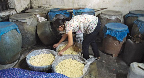 Trộn men và ủ lên men  