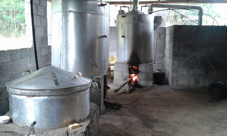 Lọc và xử lý độc tố trong rượu    