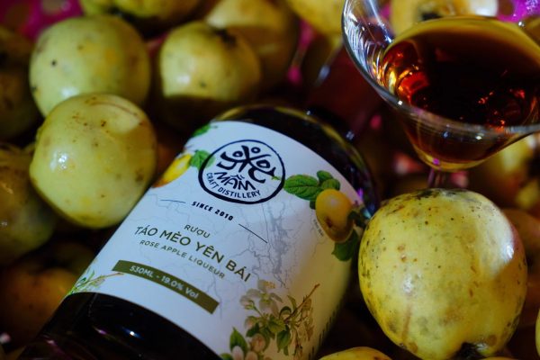 Rượu Mầm - Táo mèo  mua ở đâu?