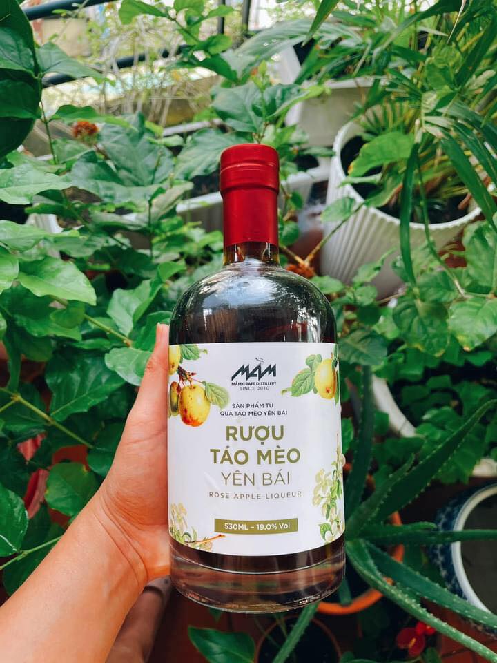 Lợi ích khi uống rượu Mầm - Táo mèo 