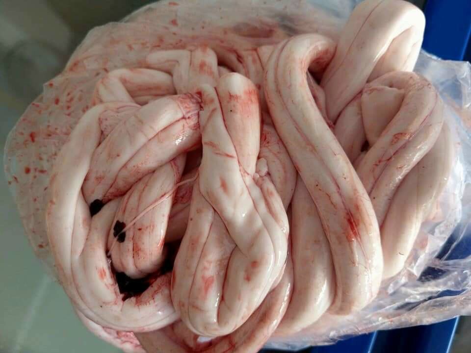 Tủy bò tươi sạch - 400k/kg