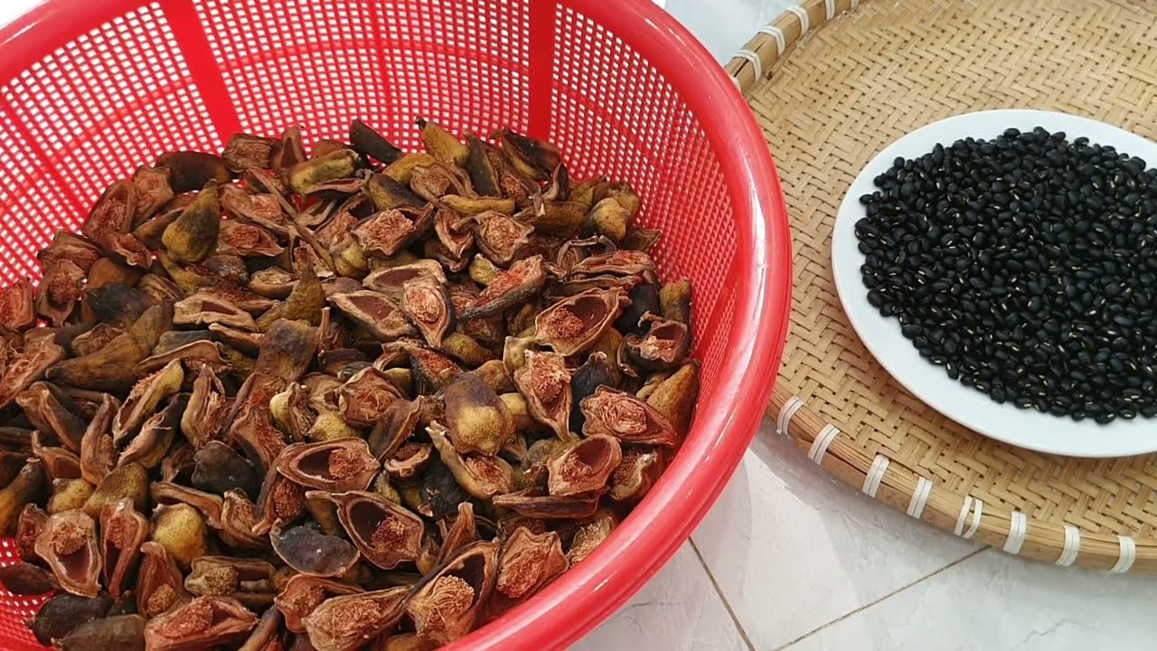 Các bài thuốc từ quả trâu cổ